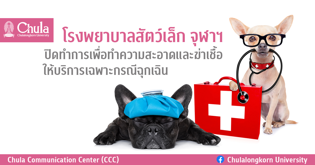 โรงพยาบาลสัตว์เล็ก จุฬาฯ  ปิดทำการเพื่อทำความสะอาดและฆ่าเชื้อ ให้บริการเฉพาะกรณีฉุกเฉิน