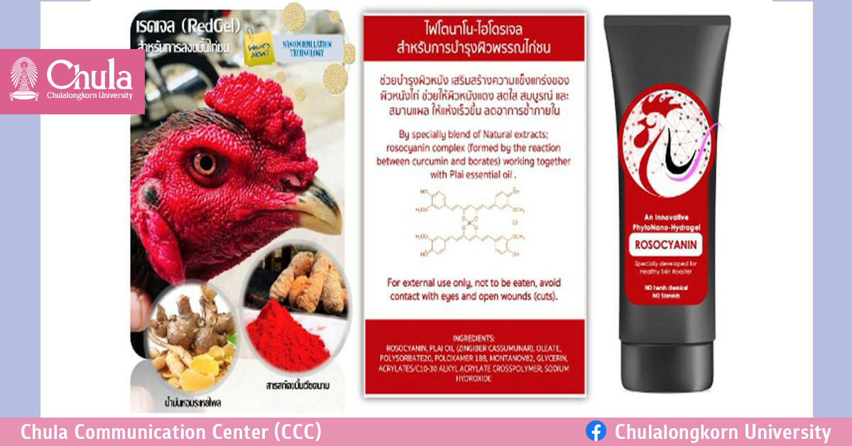 ผลิตภัณฑ์สมุนไพรนาโนเทคโนโลยีผลงานสัตวแพทย์ จุฬาฯ เพื่อไก่ชนขนงาม สุขภาพดี