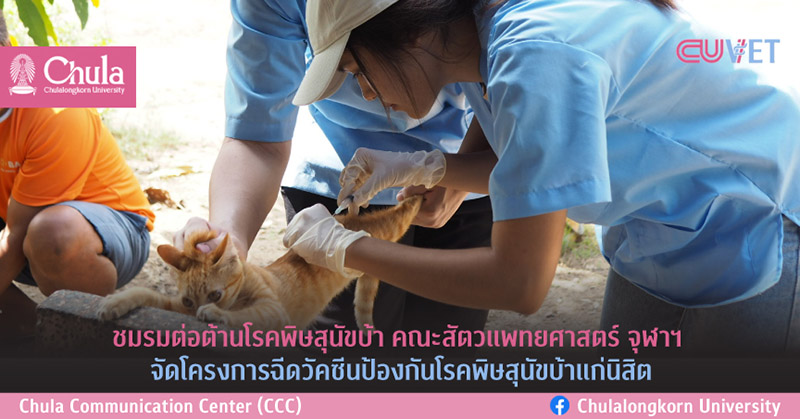 ชมรมต่อต้านโรคพิษสุนัขบ้า คณะสัตวแพทยศาสตร์ จุฬาฯ จัดโครงการฉีดวัคซีนป้องกันโรคพิษสุนัขบ้าแก่นิสิต และให้ความรู้แก่ประชาชนทาง Facebook
