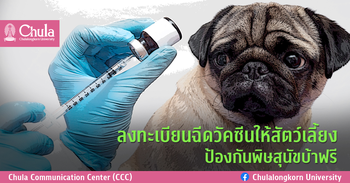 ลงทะเบียนฉีดวัคซีนให้สัตว์เลี้ยง ป้องกันพิษสุนัขบ้าฟรี