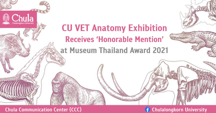 CU VET Anatomy Exhibition Receives Honorable Mention at Museum Thailand Award 2021