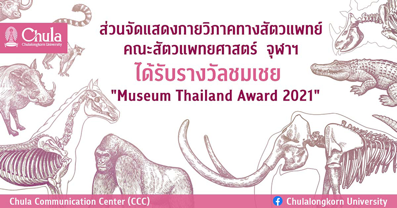 ส่วนจัดแสดงกายวิภาคทางสัตวแพทย์ คณะสัตวแพทยศาสตร์ จุฬาฯ ได้รับรางวัลชมเชย “Museum Thailand Award 2021”