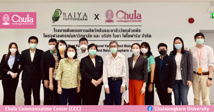 สถาบันวัคซีนแห่งชาติเยี่ยมชมความก้าวหน้าวัคซีนจุฬาฯ-ใบยา