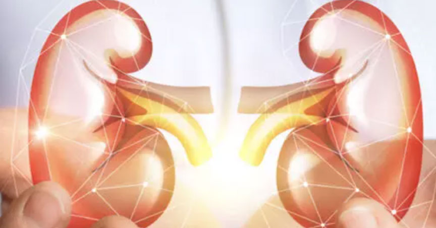 Novel Screening Strip Kit May Detect Early-Stage CKD within 15 Minutes