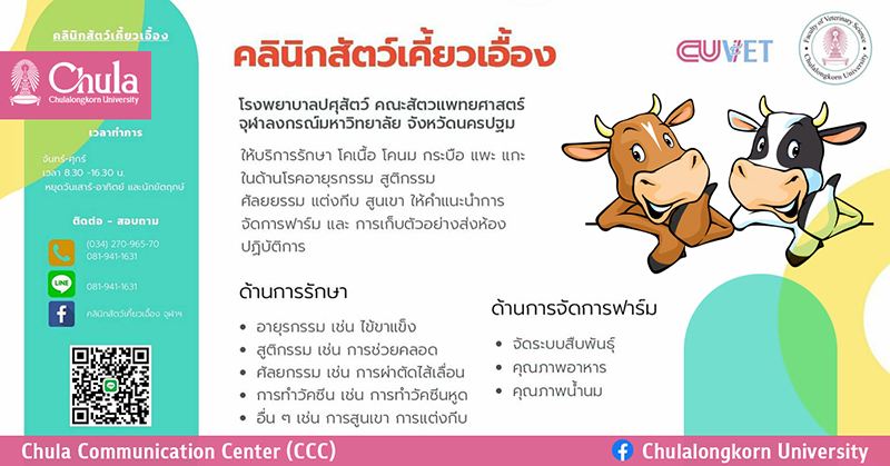 “คลินิกสัตว์เคี้ยวเอื้อง” โรงพยาบาลปศุสัตว์ คณะสัตวแพทยศาสตร์ จุฬาฯ เปิดบริการรักษาครบวงจร