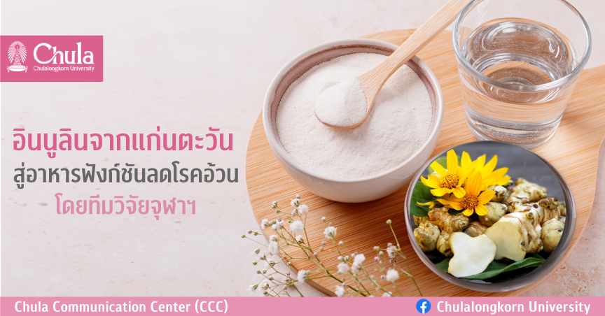 อินนูลินจากแก่นตะวัน สู่อาหารฟังก์ชันลดโรคอ้วน โดยทีมวิจัย จุฬาฯ
