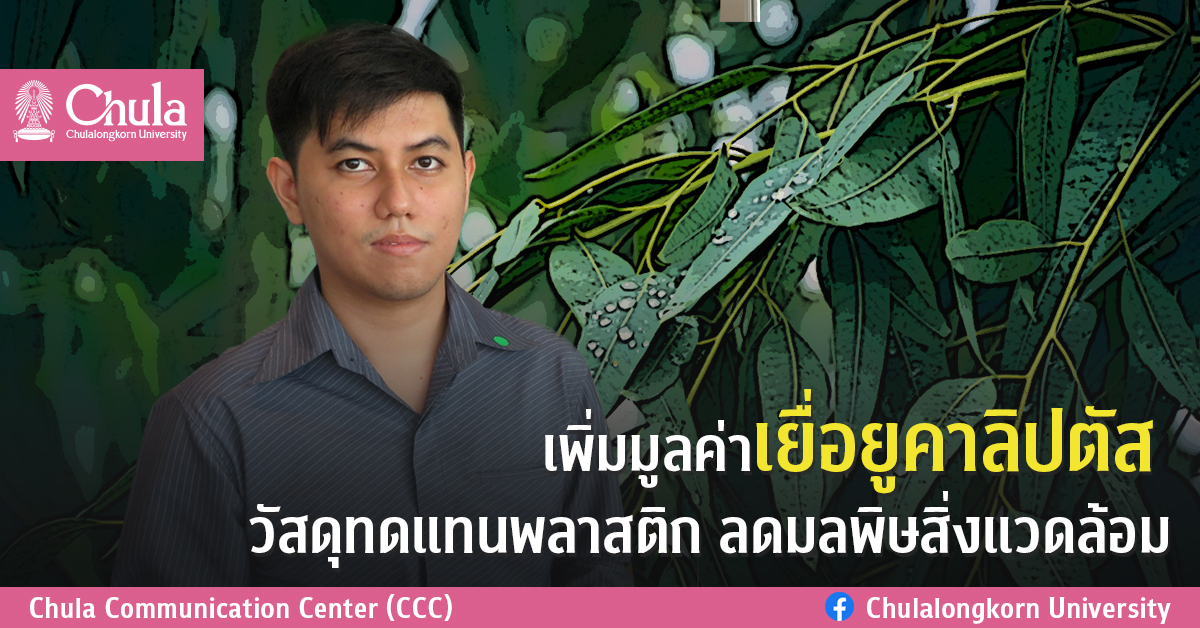 เพิ่มมูลค่าเยื่อยูคาลิปตัส วัสดุทดแทนพลาสติก ลดมลพิษสิ่งแวดล้อม