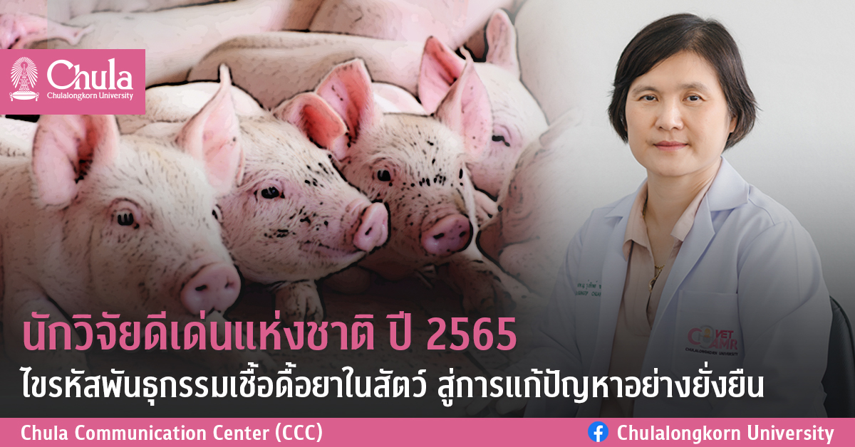 นักวิจัยดีเด่นแห่งชาติ ปี 2565 ไขรหัสพันธุกรรมเชื้อดื้อยาในสัตว์ สู่การแก้ปัญหาอย่างยั่งยืน