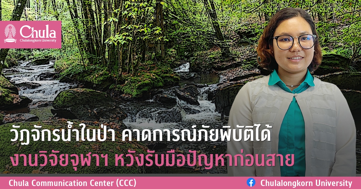วัฏจักรน้ำในป่า คาดการณ์ภัยพิบัติได้ งานวิจัยจุฬาฯ หวังรับมือปัญหาก่อนสาย