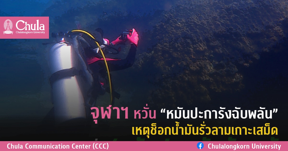 จุฬาฯ หวั่น “หมันปะการังฉับพลัน” เหตุช็อกน้ำมันรั่วลามเกาะเสม็ด