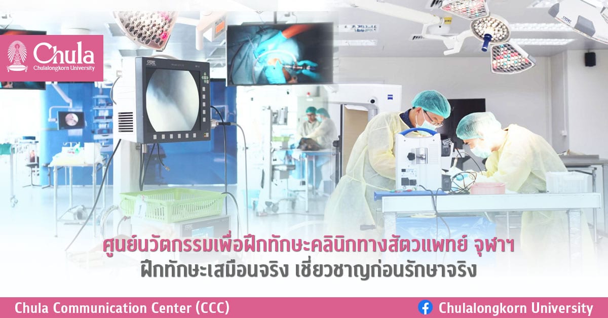 ศูนย์นวัตกรรมเพื่อฝึกทักษะคลินิกทางสัตวแพทย์ จุฬาฯ ฝึกทักษะเสมือนจริง เชี่ยวชาญก่อนรักษาจริง
