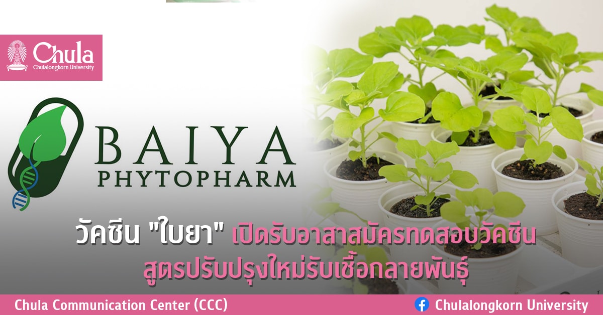 วัคซีน “ใบยาซาร์สโควีทูแวกซ์ 2”เปิดรับอาสาสมัครทดสอบวัคซีนสูตรปรับปรุงใหม่รับเชื้อกลายพันธุ์