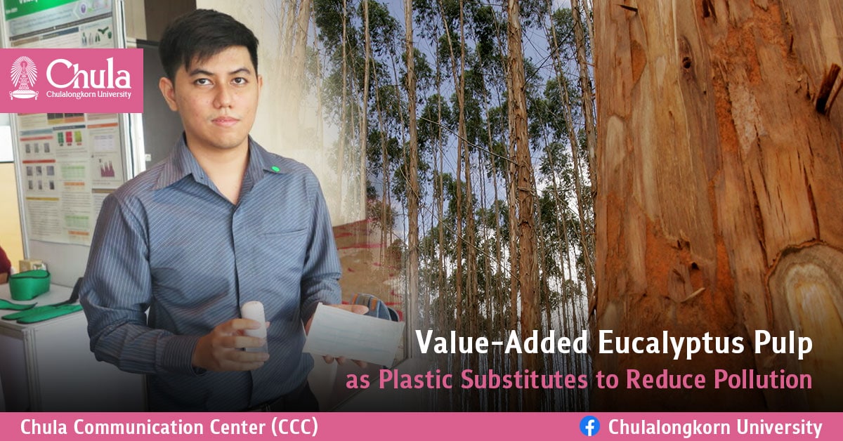 Value-Added Eucalyptus Pulp as Plastic Substitutes to Reduce Pollution