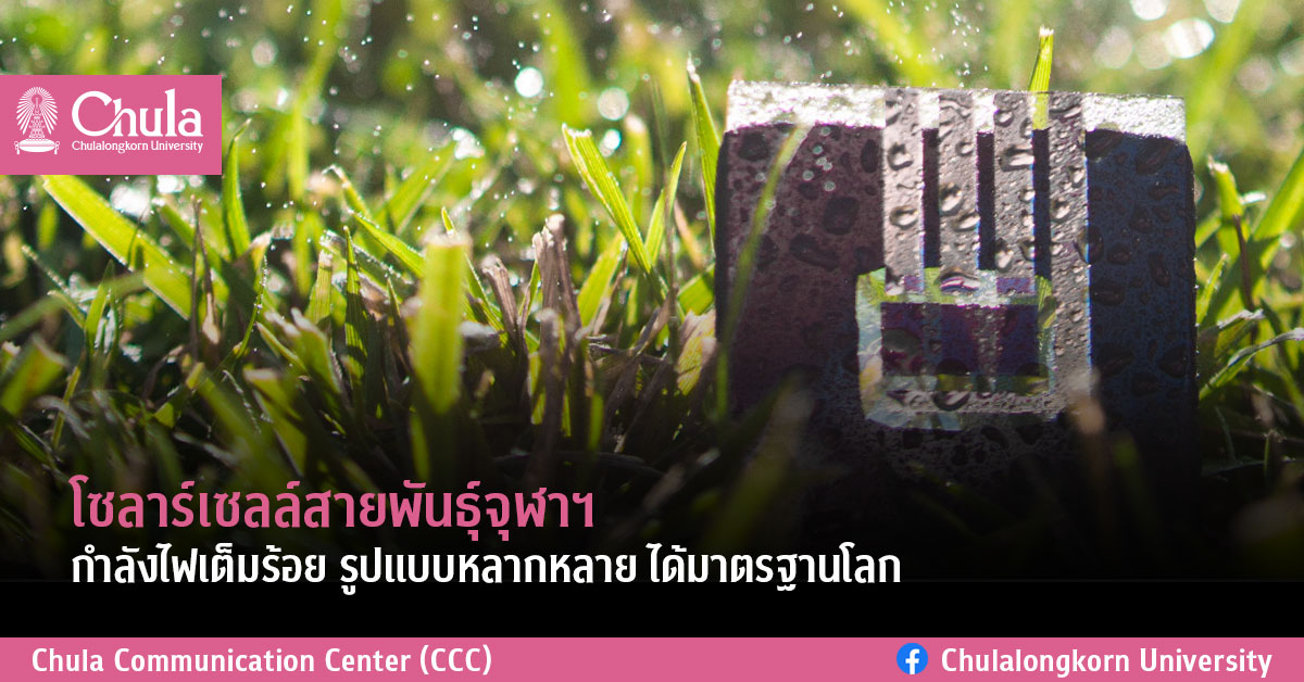 โซลาร์เซลล์สายพันธุ์จุฬาฯ กำลังไฟเต็มร้อย รูปแบบหลากหลาย ได้มาตรฐานโลก