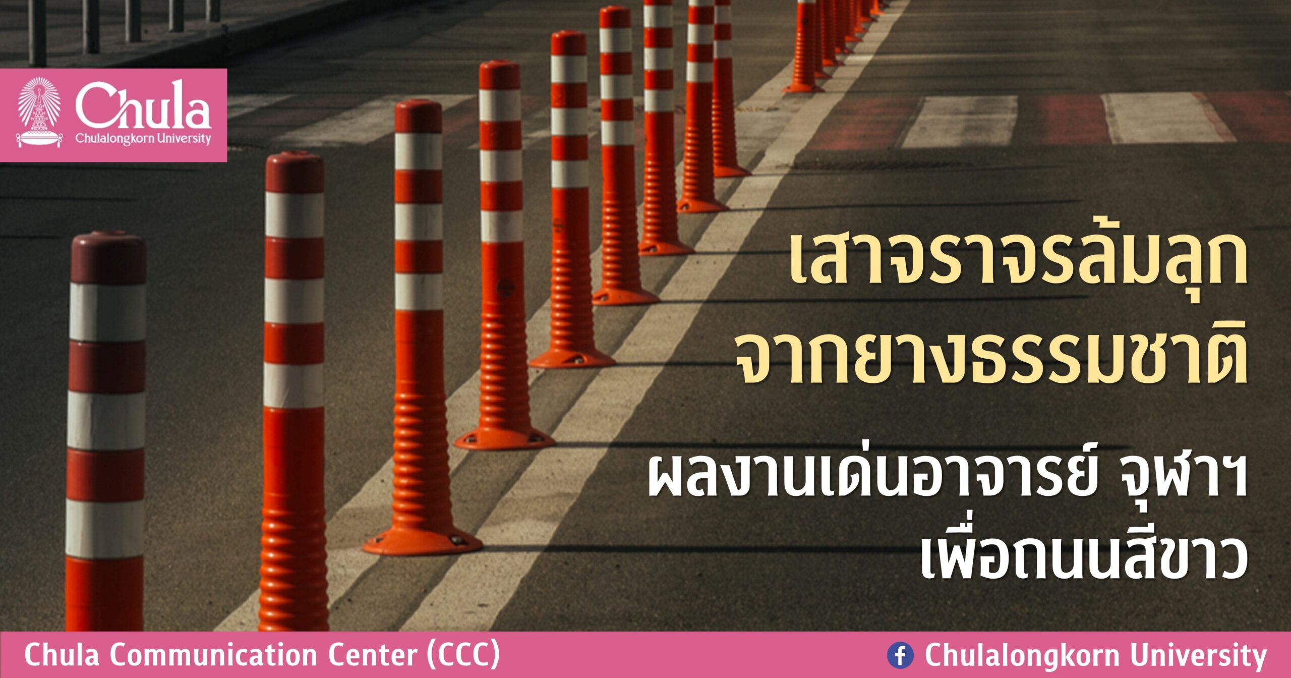 เสาจราจรล้มลุกจากยางธรรมชาติ ผลงานเด่นอาจารย์ จุฬาฯ เพื่อถนนสีขาว