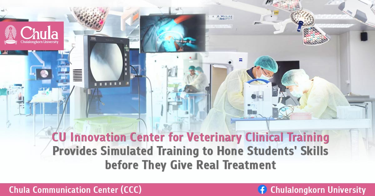 CU Innovation Center for Veterinary Clinical Training Provides Simulated Training to Hone Students’ Skills before They Give Real Treatment