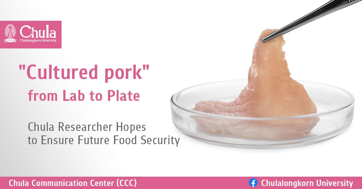 “Cultured Pork” — from Lab to Plate — Chula Researcher Hopes to Ensure Future Food Security