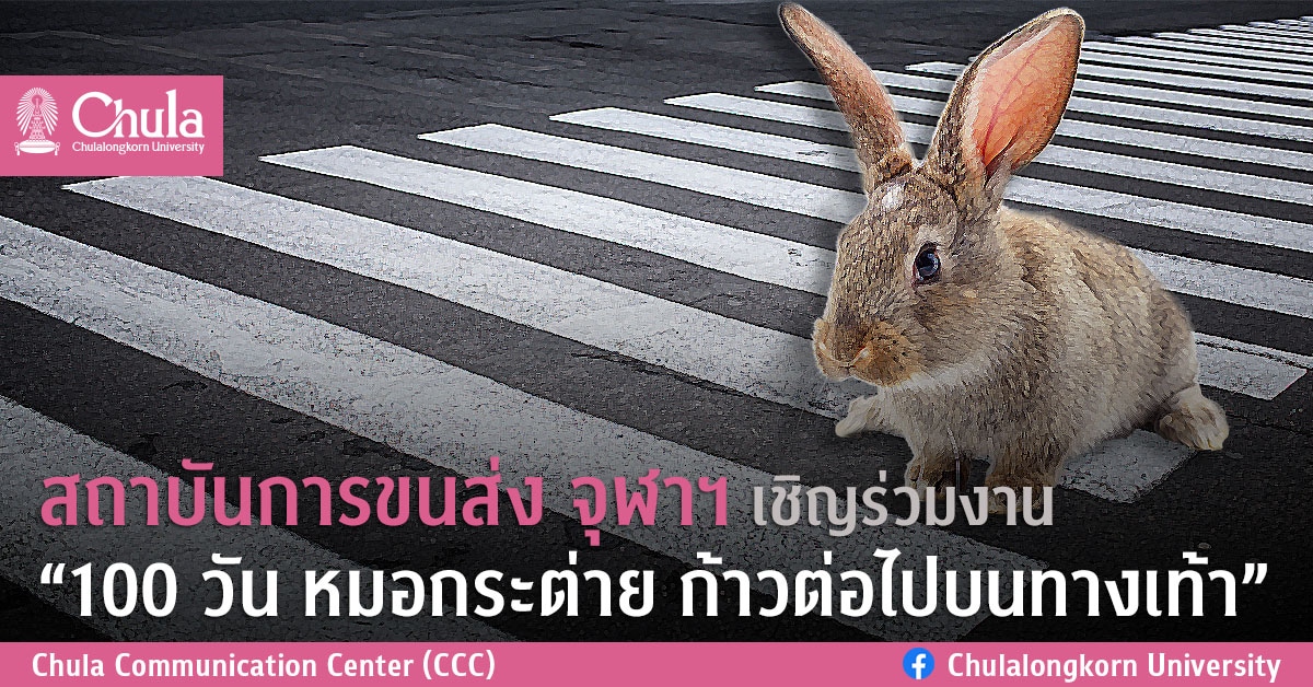 สถาบันการขนส่ง จุฬาฯ เชิญร่วมงาน “100 วัน หมอกระต่าย ก้าวต่อไปบนทางเท้า”