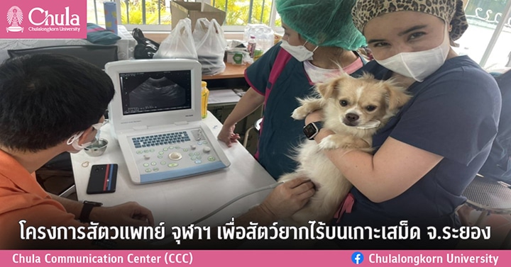 โครงการสัตวแพทย์ จุฬาฯ เพื่อสัตว์ยากไร้บนเกาะเสม็ด จ.ระยอง