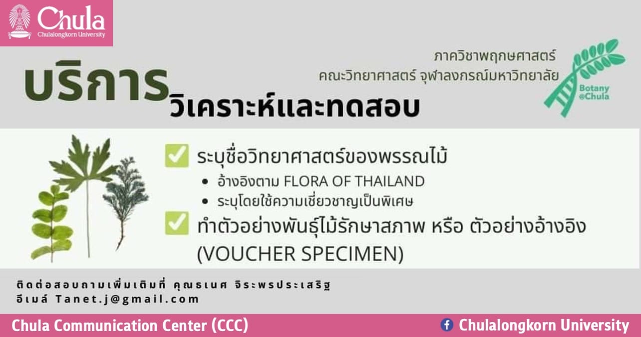 ภาควิชาพฤกษศาสตร์ คณะวิทยาศาสตร์ จุฬาฯ ให้บริการวิเคราะห์และทดสอบตัวอย่างพืชและรา