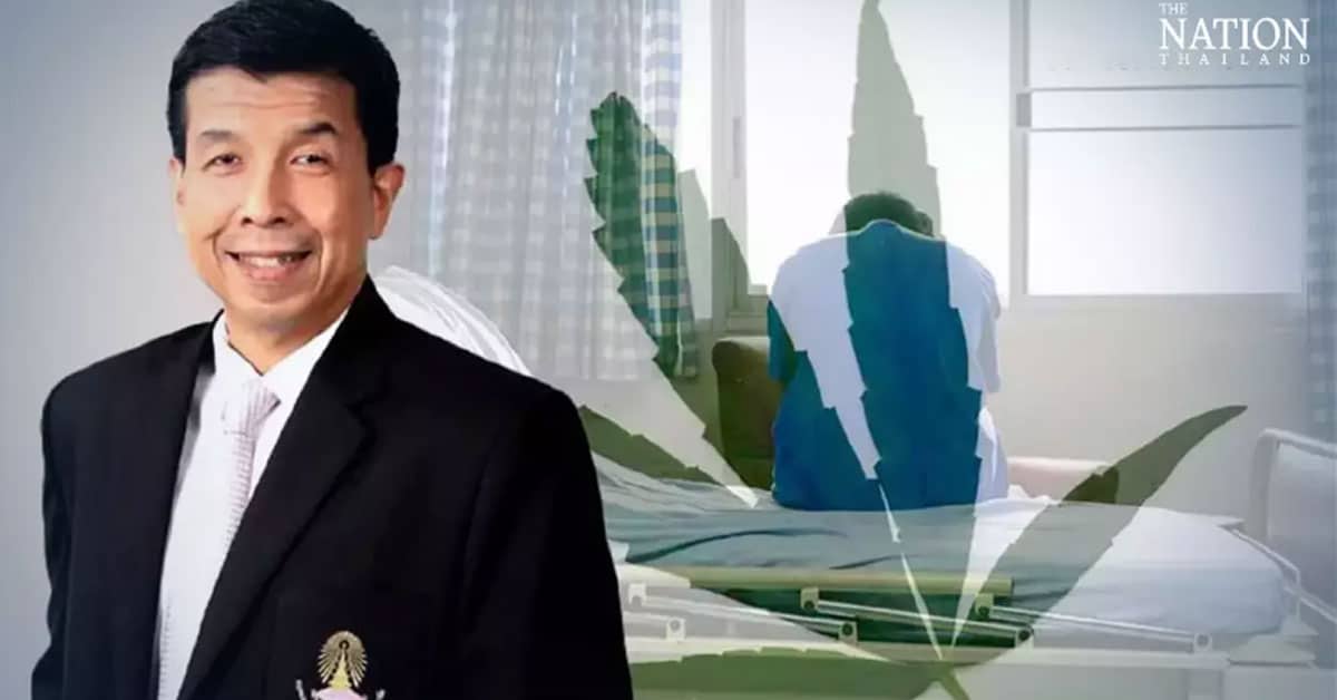 Thai Experts Voice Concerns about Widespread Use, Dependence on Weed