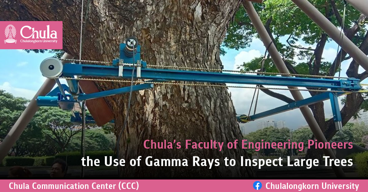 Chula’s Faculty of Engineering Pioneers the Use of Gamma Rays to Inspect Large Trees