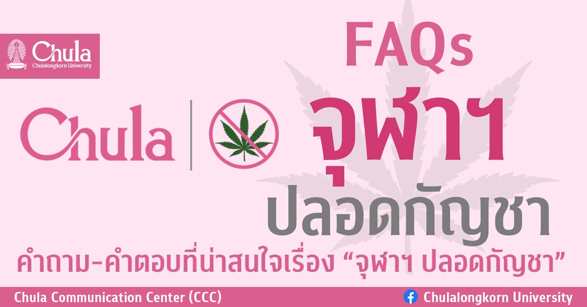 คำถาม-คำตอบที่น่าสนใจเรื่อง “จุฬาฯ ปลอดกัญชา”