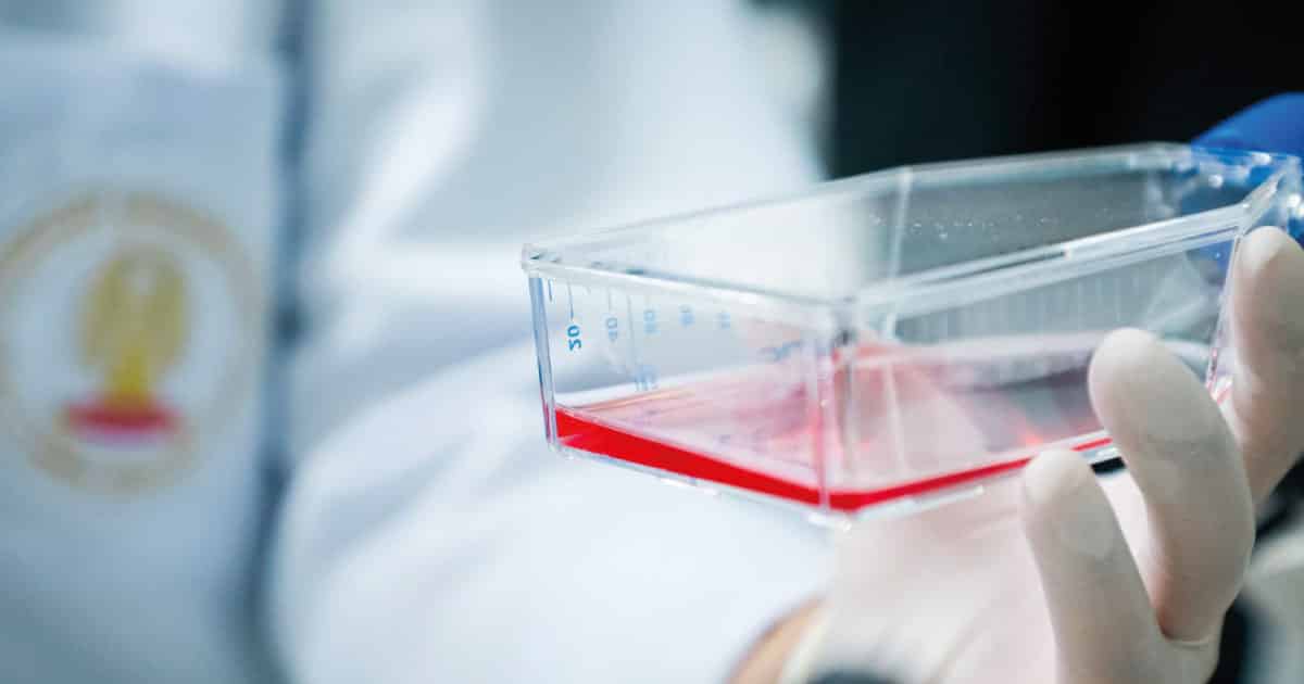 PTT to Commercialise ‘Rejuvenating DNA’