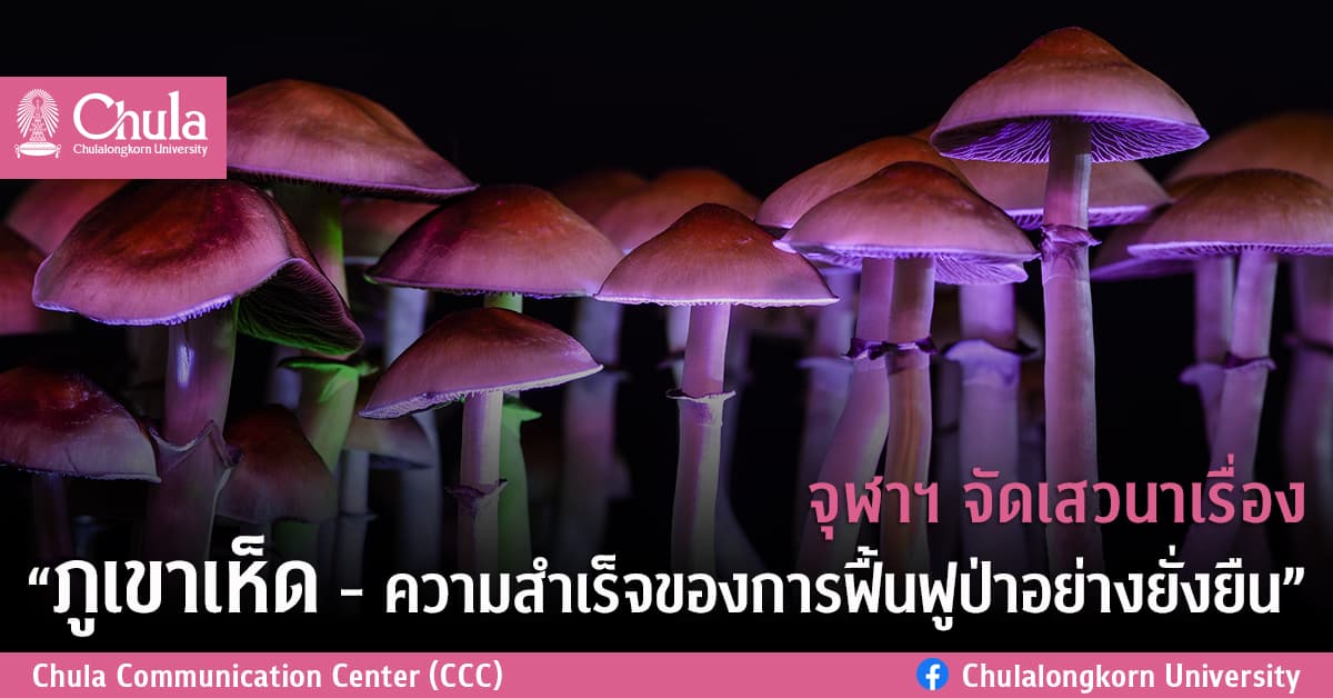 จุฬาฯ จัดเสวนาเรื่อง “ภูเขาเห็ด – ความสำเร็จของการฟื้นฟูป่าอย่างยั่งยืน”