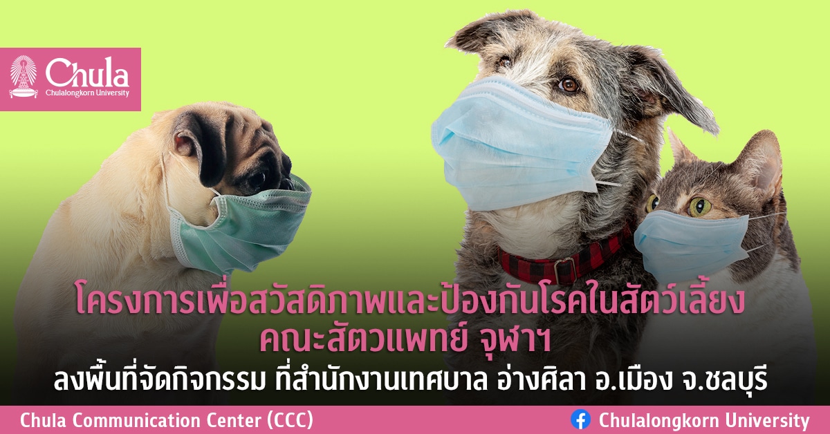 โครงการเพื่อสวัสดิภาพและป้องกันโรคในสัตว์เลี้ยง คณะสัตวแพทย์ จุฬาฯ ลงพื้นที่จัดกิจกรรม ที่สำนักงานเทศบาล อ่างศิลา อ.เมือง จ.ชลบุรี