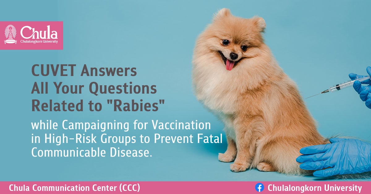 CUVET Answers All Your Questions Related to “Rabies” while Campaigning for Vaccination in High-Risk Groups to Prevent Fatal Communicable Disease