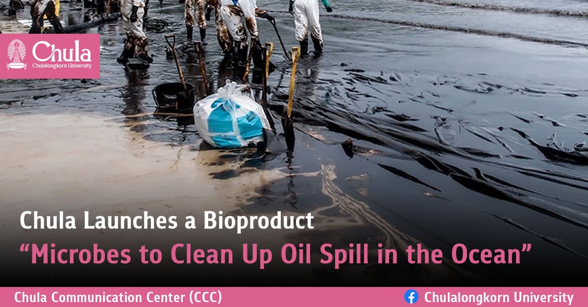 Chula Launches a Bioproduct “Microbes to Clean Up Oil Spill in the Ocean”