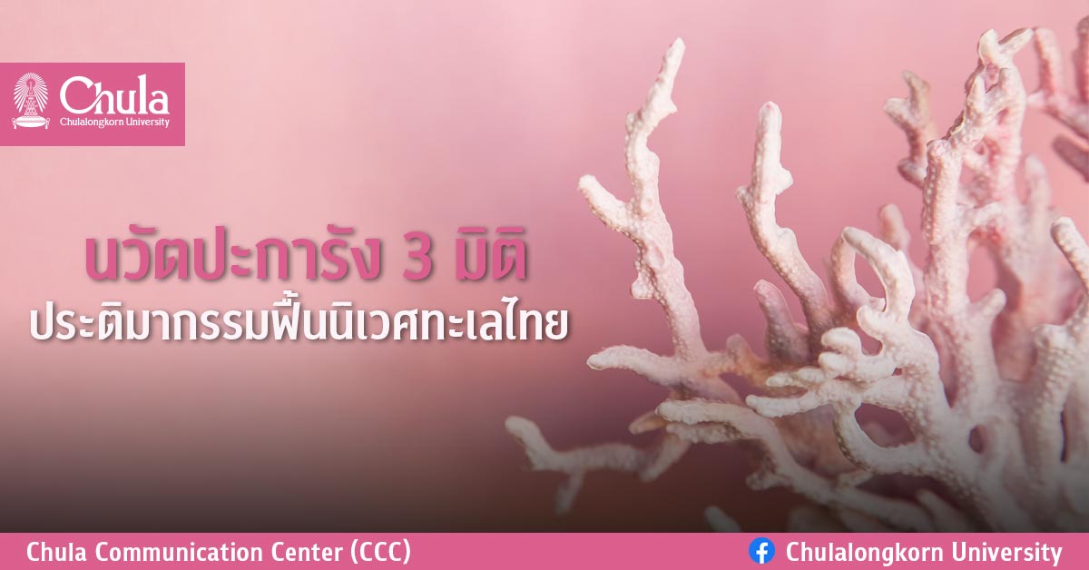 นวัตปะการัง 3 มิติ ประติมากรรมฟื้นนิเวศทะเลไทย