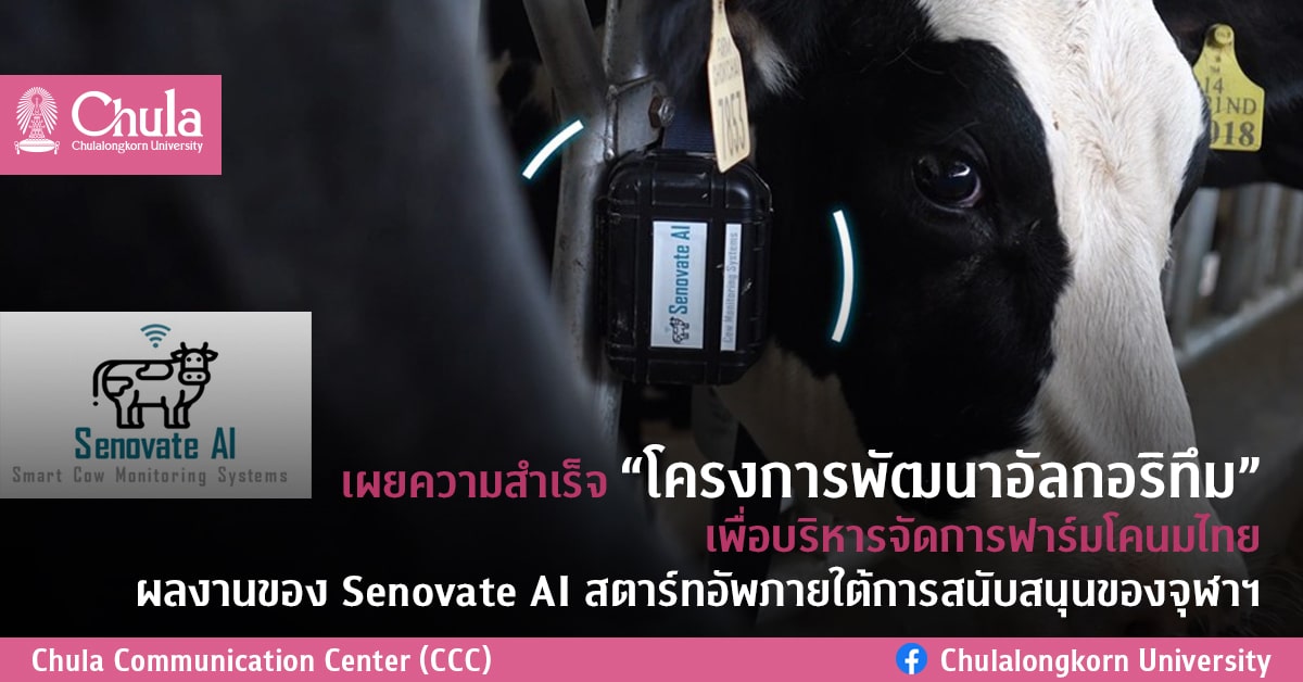 เผยความสำเร็จ “โครงการพัฒนาอัลกอริทึม” เพื่อบริหารจัดการฟาร์มโคนมไทย ผลงานของ Senovate AI สตาร์ทอัพภายใต้การสนับสนุนของจุฬาฯ