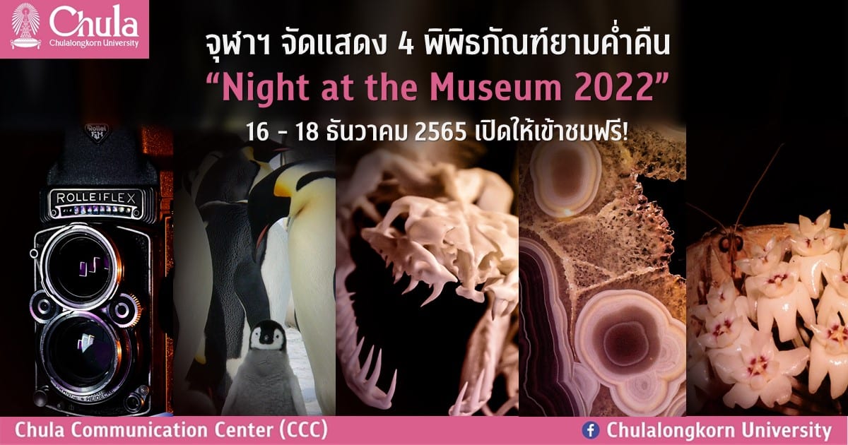 จุฬาฯ จัดแสดง 4 พิพิธภัณฑ์ยามค่ำคืน “Night at the Museum 2022” 16 – 18 ธันวาคม 2565 เปิดให้เข้าชมฟรี!
