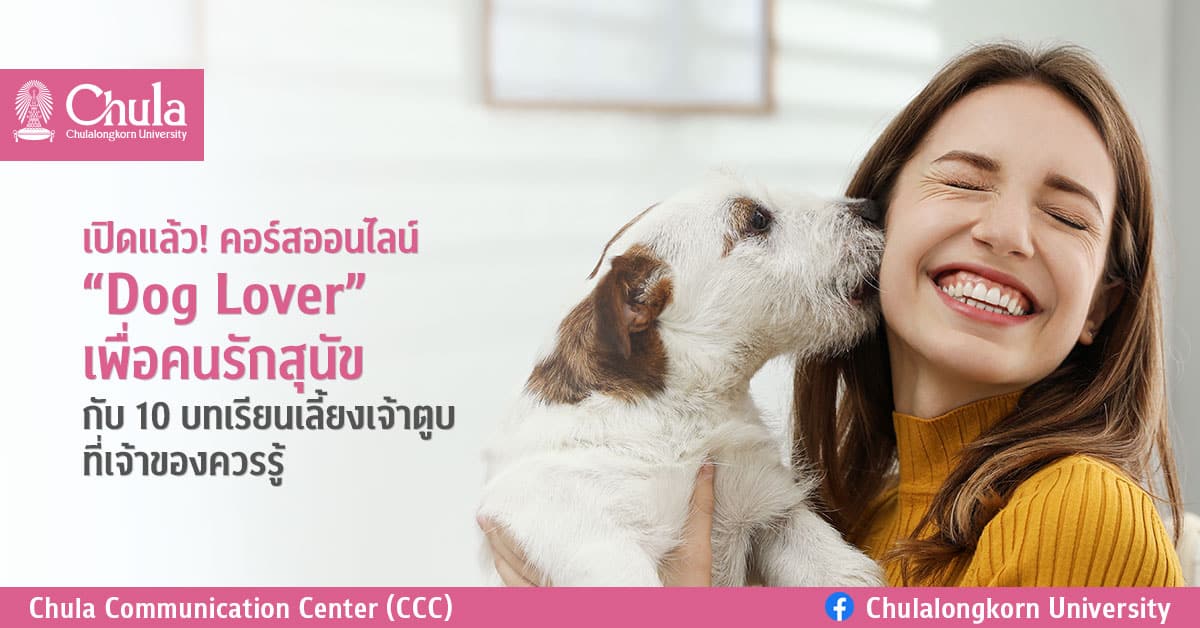 เปิดแล้ว! คอร์สออนไลน์ “Dog Lover” เพื่อคนรักสุนัข กับ 10 บทเรียนเลี้ยงเจ้าตูบที่เจ้าของควรรู้