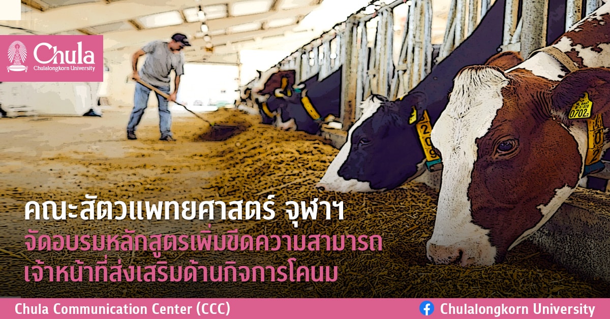 คณะสัตวแพทยศาสตร์ จุฬาฯ จัดอบรมหลักสูตรเพิ่มขีดความสามารถเจ้าหน้าที่ส่งเสริมด้านกิจการโคนม
