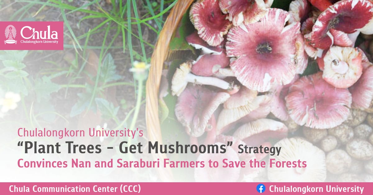Chulalongkorn University’s “Plant Trees – Get Mushrooms” Strategy Convinces Nan and Saraburi Farmers to Save the Forests