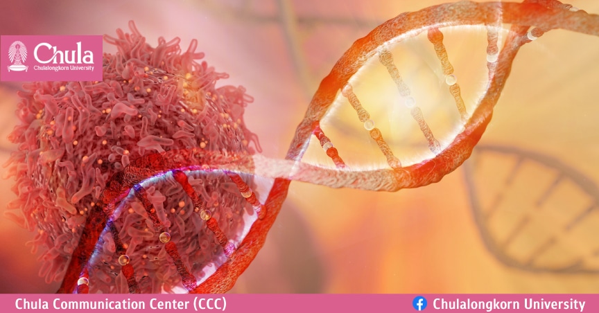 คอลัมน์ VARIETY: รพ.จุฬาฯร่วมม.นาโกยาพัฒนา’CAR-T cell’ เทคนิคใหม่ไม่ใช้ไวรัสรักษามะเร็งระบบเลือด