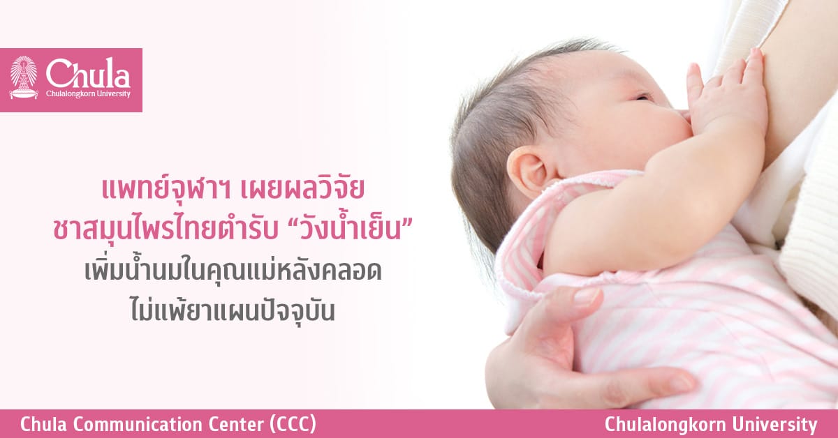 แพทย์จุฬาฯ เผยผลวิจัยชาสมุนไพรไทยตำรับ “วังน้ำเย็น”เพิ่มน้ำนมในคุณแม่หลังคลอด ไม่แพ้ยาแผนปัจจุบัน