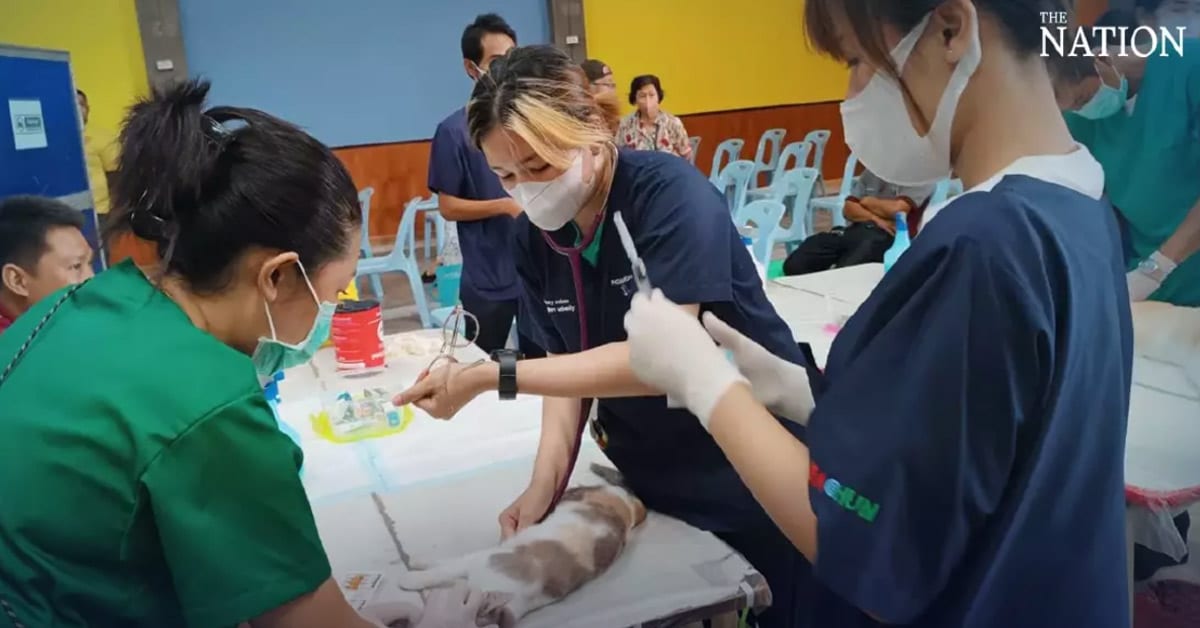 Chula’s Faculty of Veterinary Science ranks Top 53 in the world