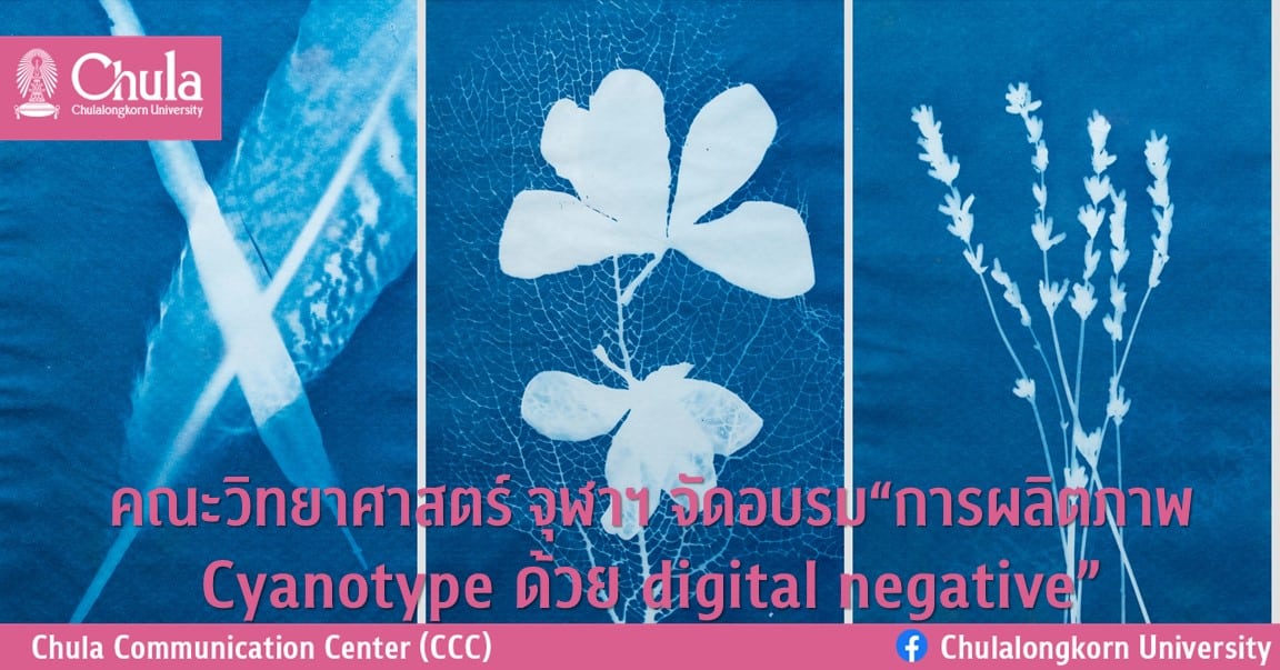 คณะวิทยาศาสตร์ จุฬาฯ จัดอบรม“การผลิตภาพ Cyanotype ด้วย digital negative”