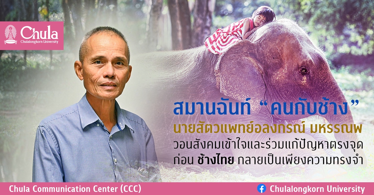 สมานฉันท์ “คนกับช้าง” นายสัตวแพทย์อลงกรณ์ มหรรณพ วอนสังคมเข้าใจและร่วมแก้ปัญหาตรงจุด ก่อนช้างไทยกลายเป็นเพียงความทรงจำ