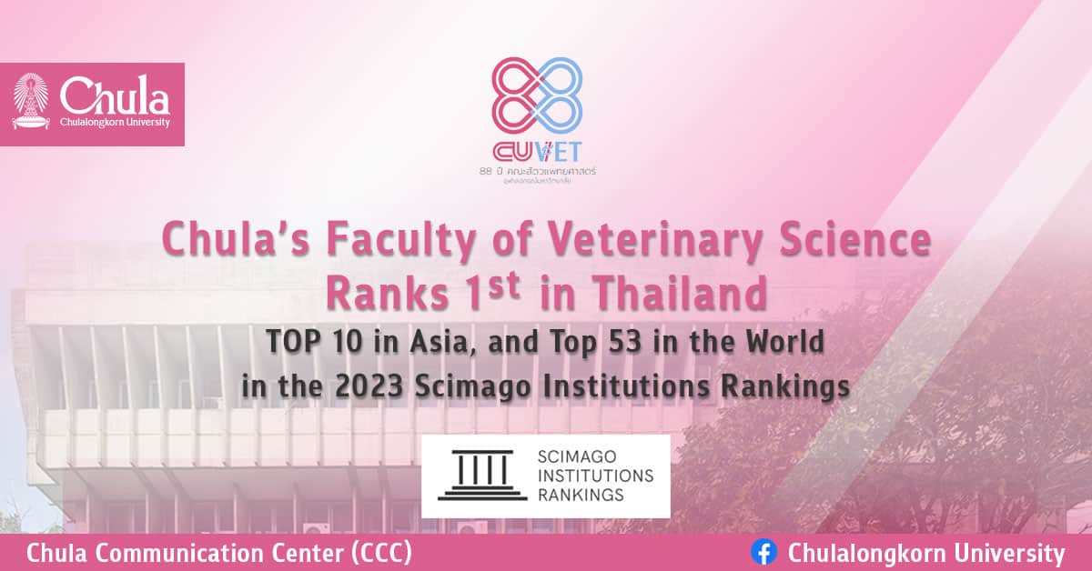 Chula’s Faculty of Veterinary Science Ranks 1st in Thailand, TOP 10 in Asia, and Top 53 in the World in the 2023 Scimago Institutions Rankings