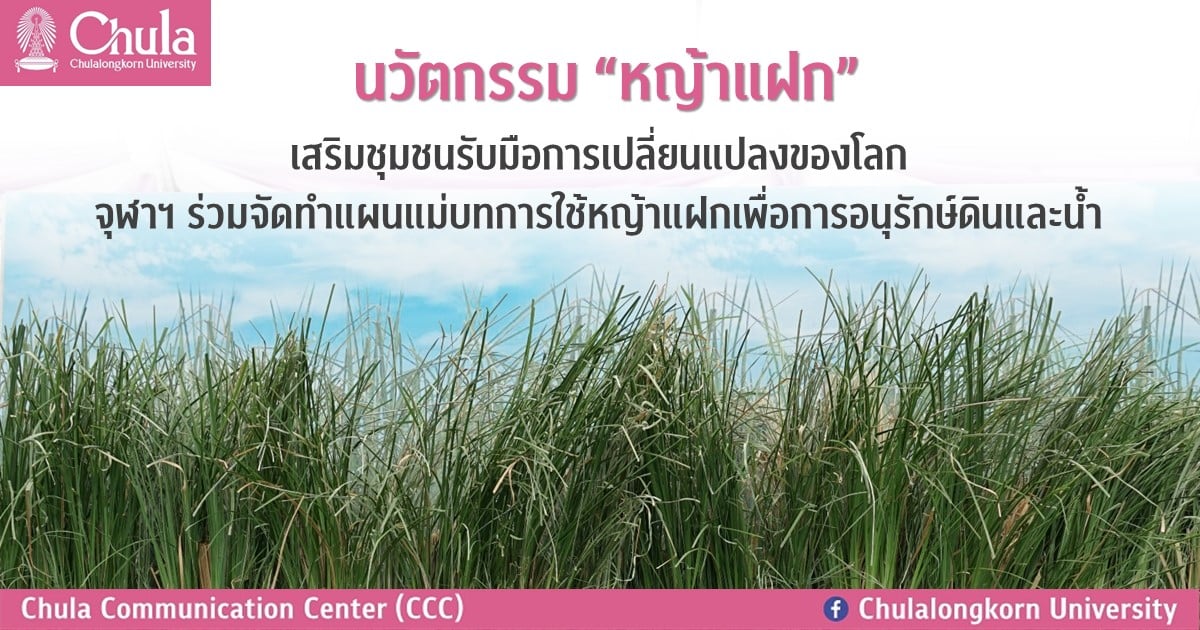 นวัตกรรม “หญ้าแฝก” เสริมชุมชนรับมือการเปลี่ยนแปลงของโลก จุฬาฯ ร่วมจัดทำแผนแม่บทการใช้หญ้าแฝกเพื่อการอนุรักษ์ดินและน้ำ