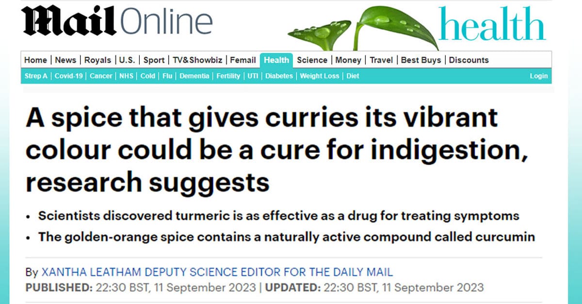 A Spice That Gives Curries Its Vibrant Colour Could Be a Cure for Indigestion, Research Suggests