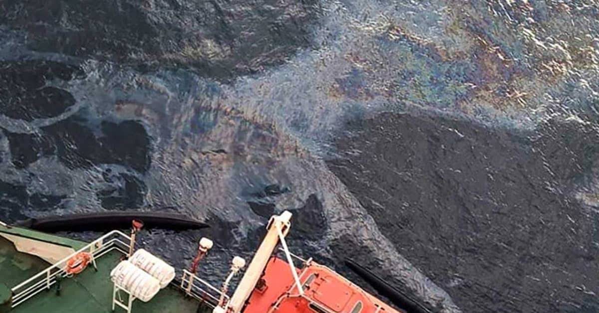 Oil Spill May Trigger ‘Coral Abortions’
