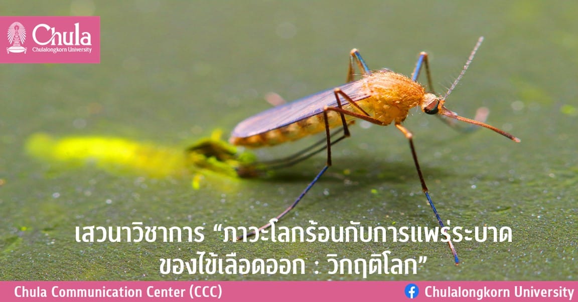 เสวนาวิชาการ “ภาวะโลกร้อนกับการแพร่ระบาดของไข้เลือดออก : วิกฤติโลก”