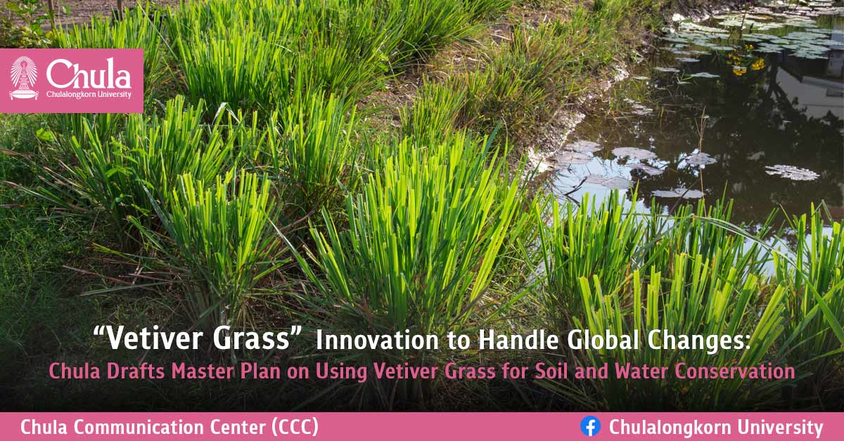 ��Vetiver Grass�� Innovation to Handle Global Changes: Chula Drafts Master Plan on Using Vetiver Grass for Soil and Water Conservation