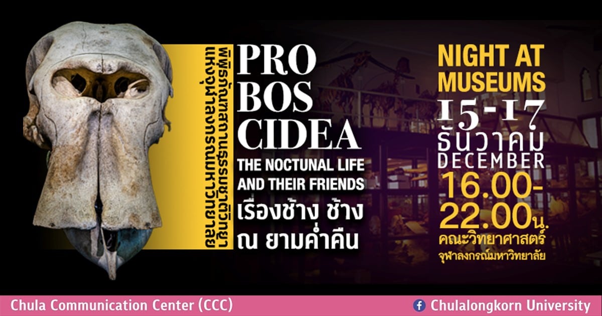 เชิญร่วมงานเทศกาลท่องเที่ยวพิพิธภัณฑ์ยามค่ำคืน Night at the Museum @ Chula มหัศจรรย์ความรู้เกี่ยวกับ “ช้าง”